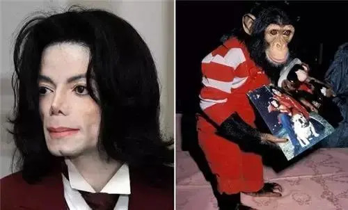 迈克尔·杰克逊与黑猩猩