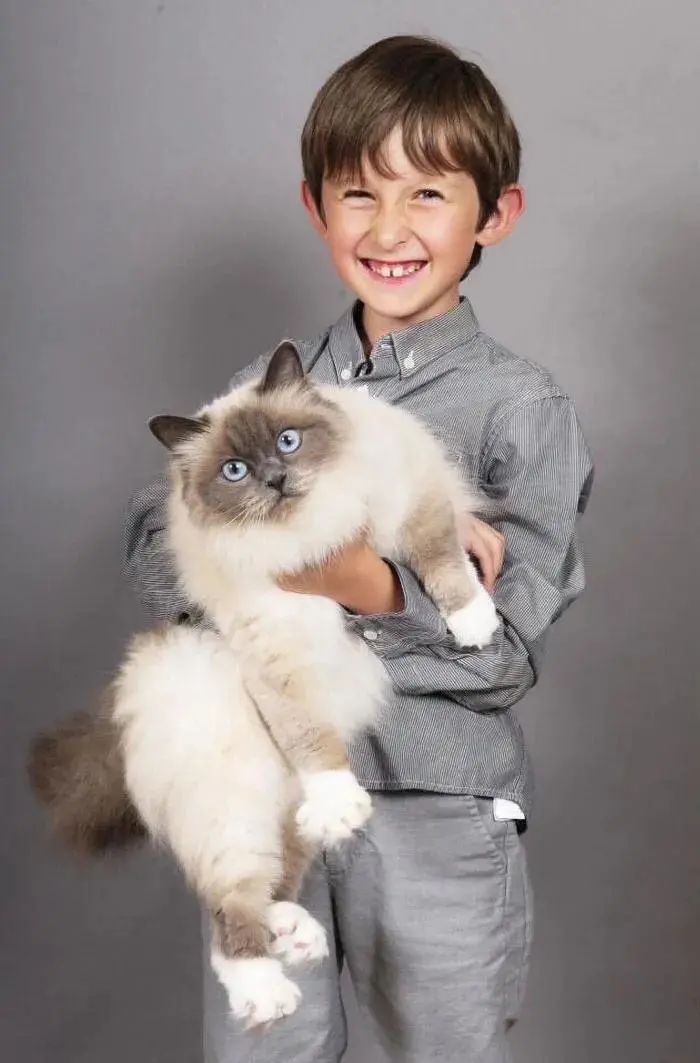猫咪Jessi-Cat与男孩Lorcan Dillon