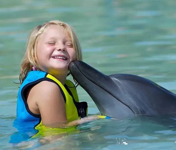 海豚正在亲小女孩