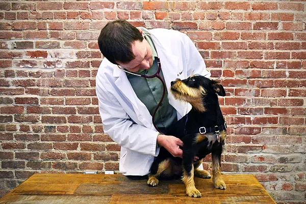 埃里克·巴查斯博士与宠物狗
