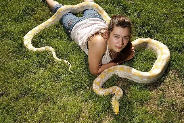 美女与她的宠物蛇