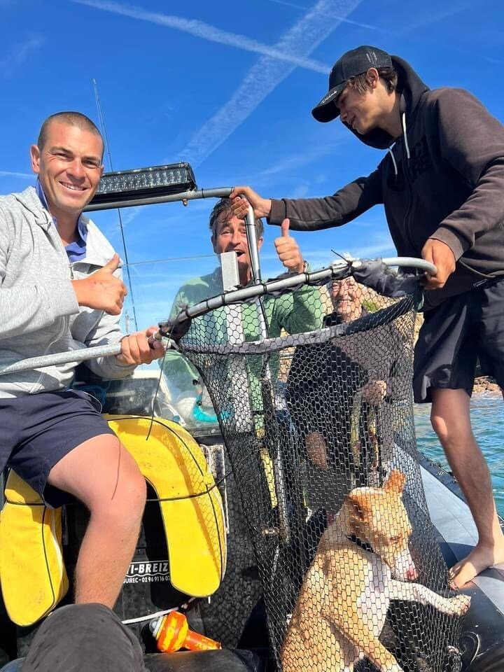 三名男子和狗在海上蓝天的船上被渔网救出