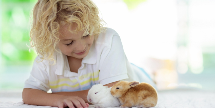 小女孩与宠物兔