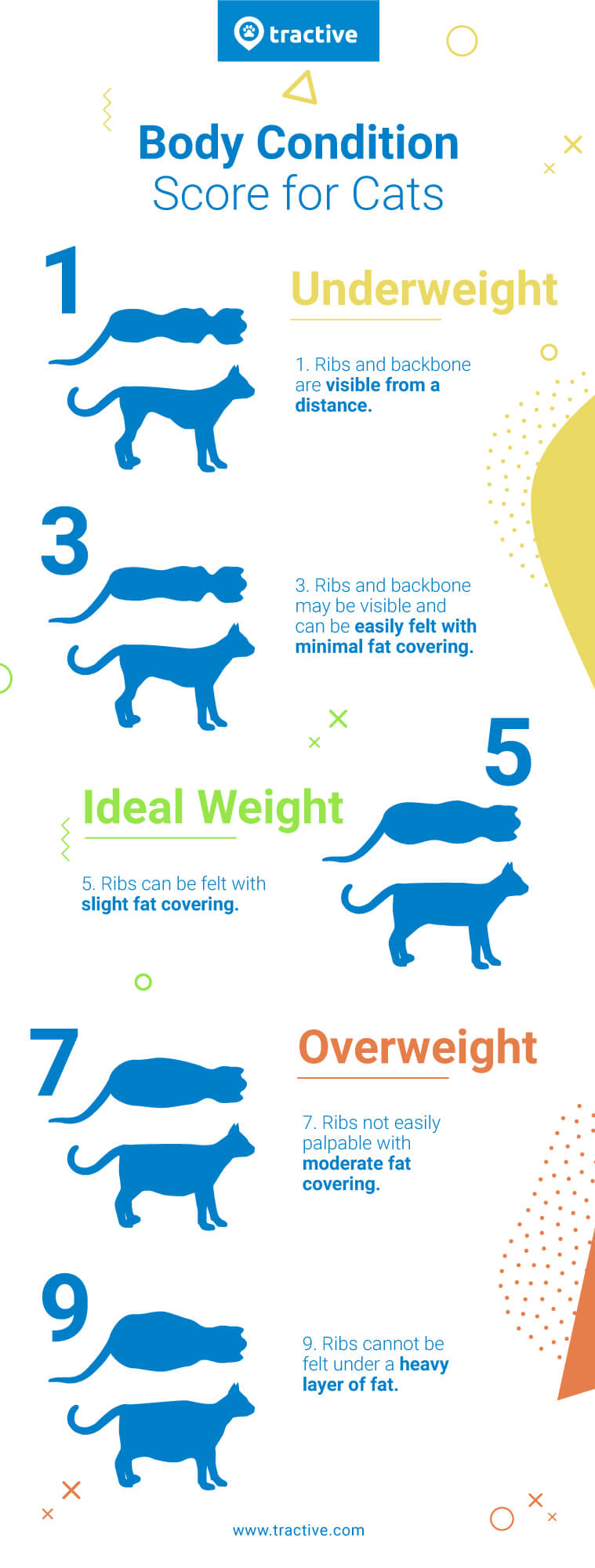 由 Traactive 说明的猫身体状况评分图表 - 体重过轻、理想的猫体重、超重