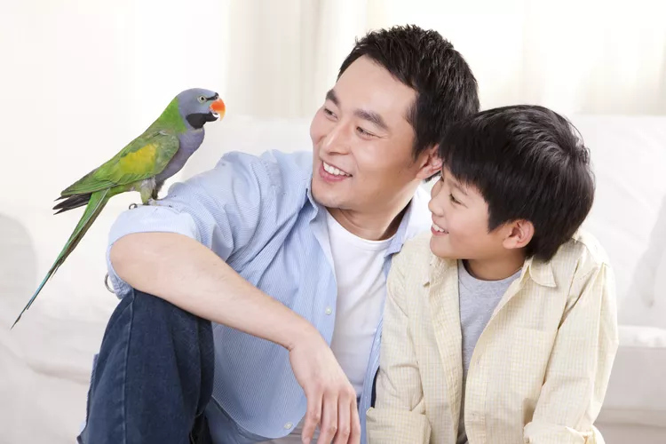 男人与自己的孩子一起训练鹦鹉说话