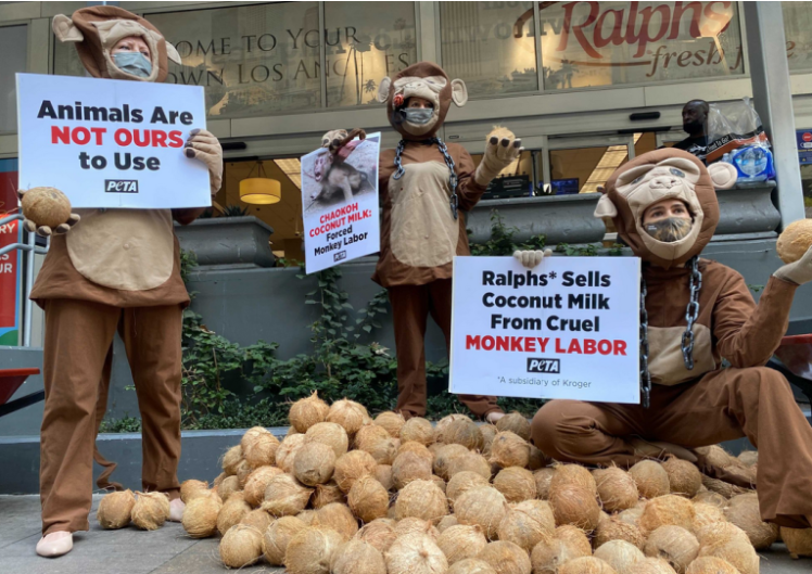 善待动物组织（PETA）成员在街头抗议椰子猴劳动