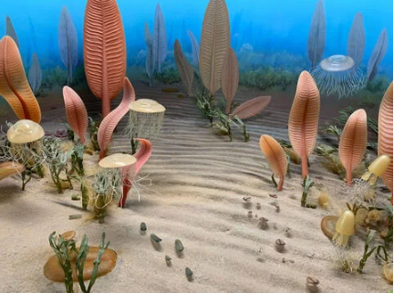 描绘埃迪卡拉纪时代海洋生物的立体模型
