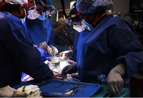 马里兰大学医学中心的一个团队首次将猪心脏移植到活人体内