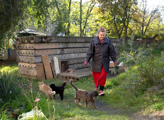 在乌克兰巴赫穆特，一名妇女在自家院子里的被遗弃的猫中间行走