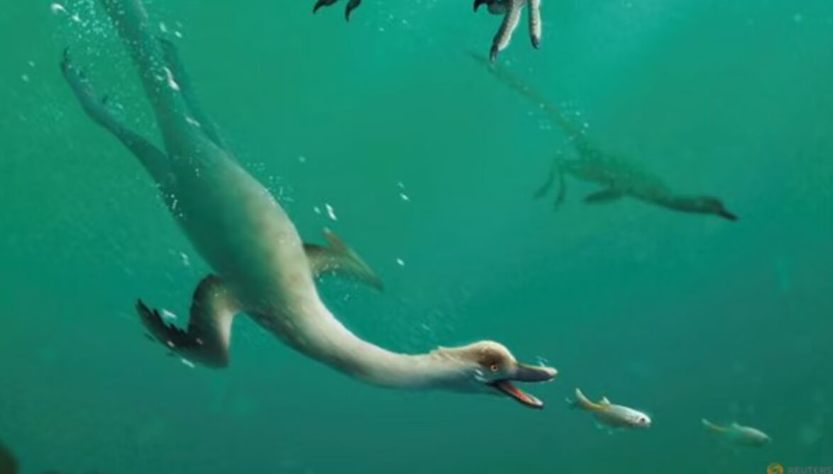 鹅颈恐龙在水下捕鱼