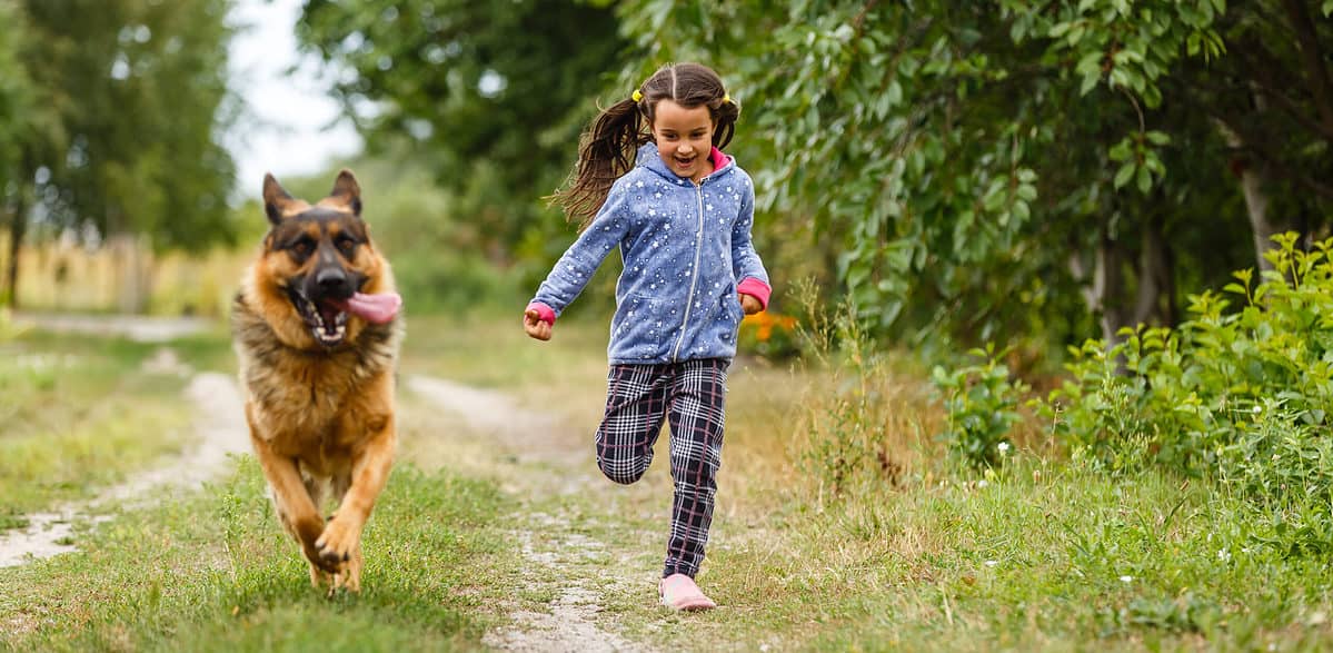 小女孩与德国牧羊犬一起跑步