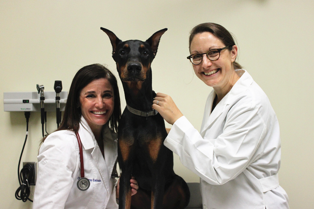 杜宾犬与两位女兽医